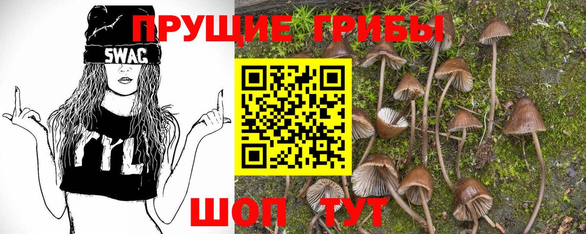 Тула  Галлюциногенные грибы прущие грибы  Вход с VPN 