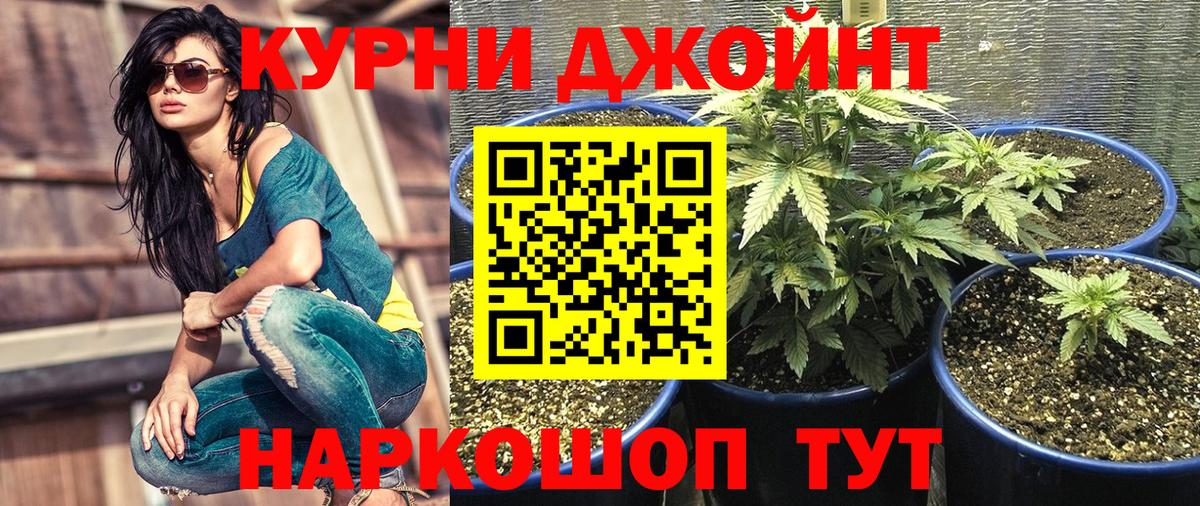 Марихуана Bruce Banner  Конопля VHQ  Вход с VPN  МАРИХУАНА MAZAR  Марихуана тримм  Тула 